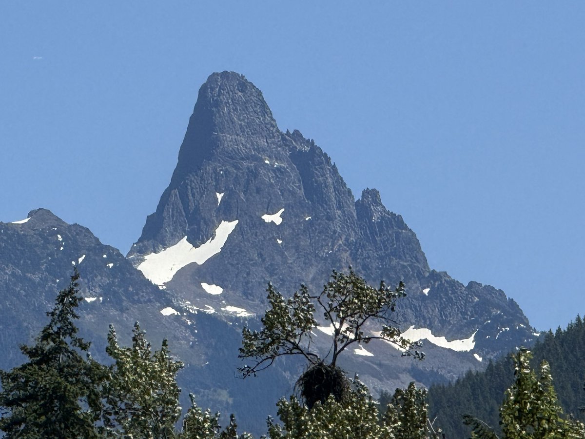 Bald Eagles nest with a cool mountain in the background. Taken with an iPhone yesterday from the Chilliwack River Valley