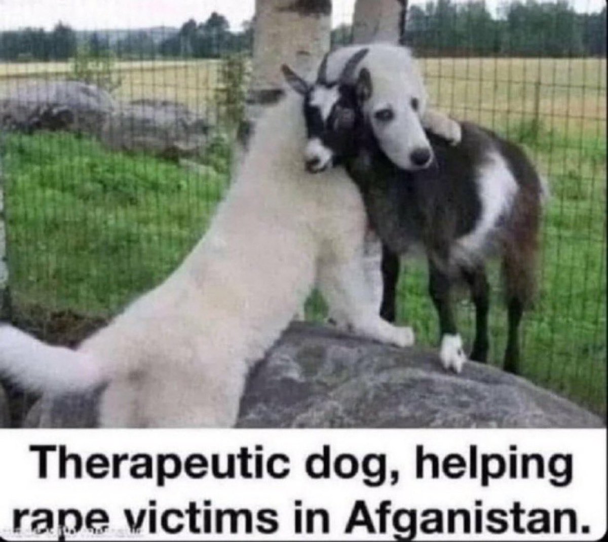 ErikUnchained's tweet image. OMG 🤣🤣🤣