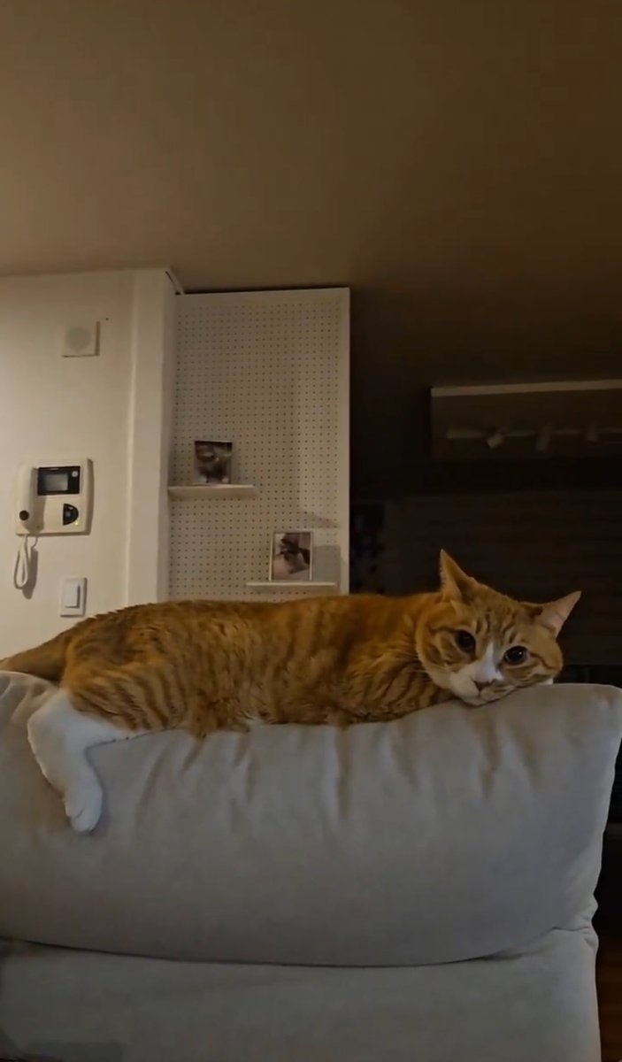 HANNERLANDS's tweet photo. that is NAWT the same house. THAT is the mnsvng apartment https://t.co/g0h1u0f08S
