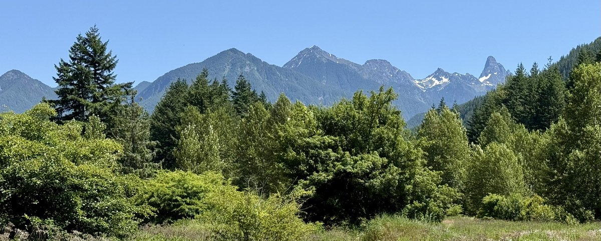 Taken from the Chilliwack area yesterday