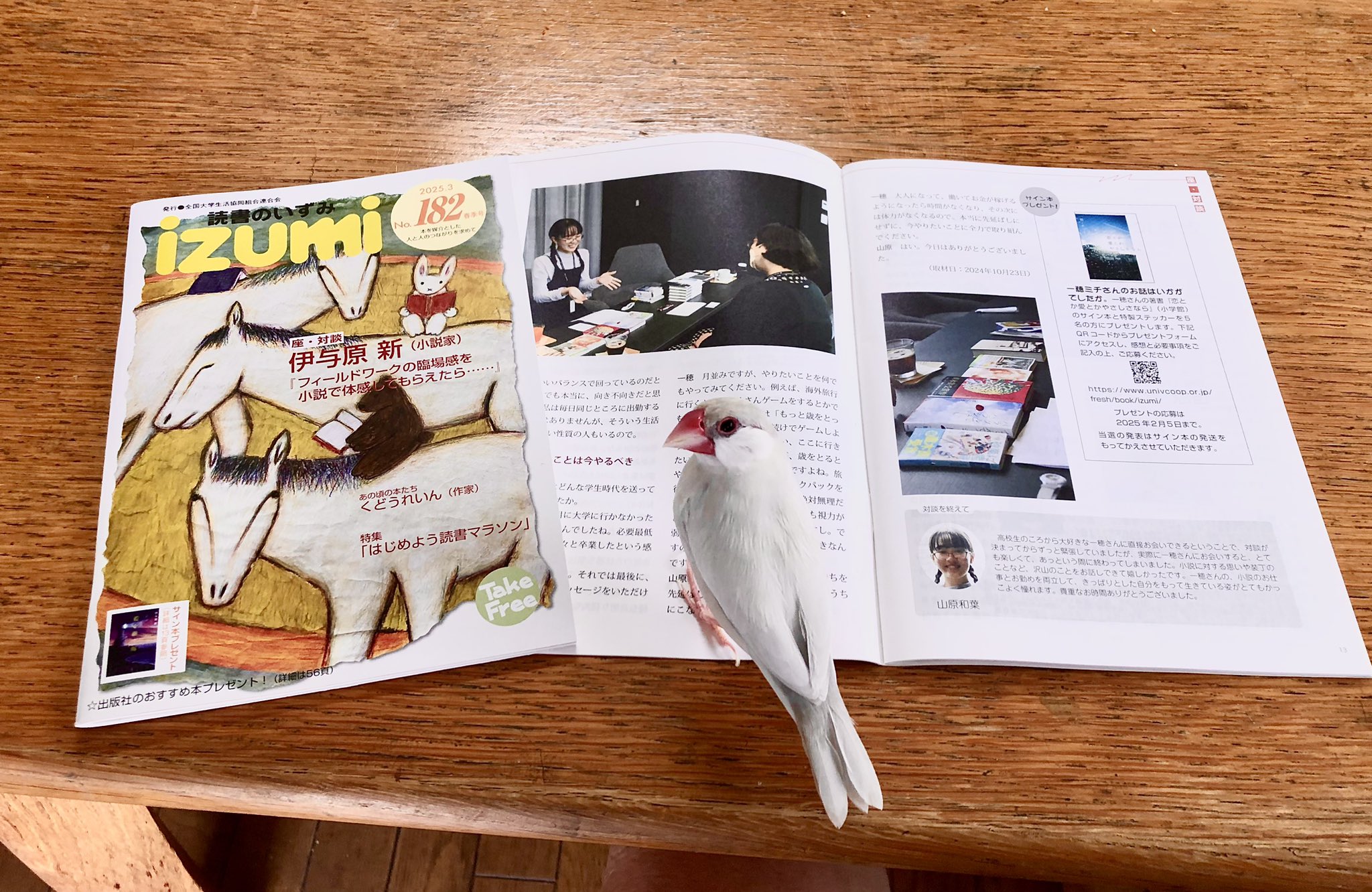 積ん読山の和葉さん on X: 
