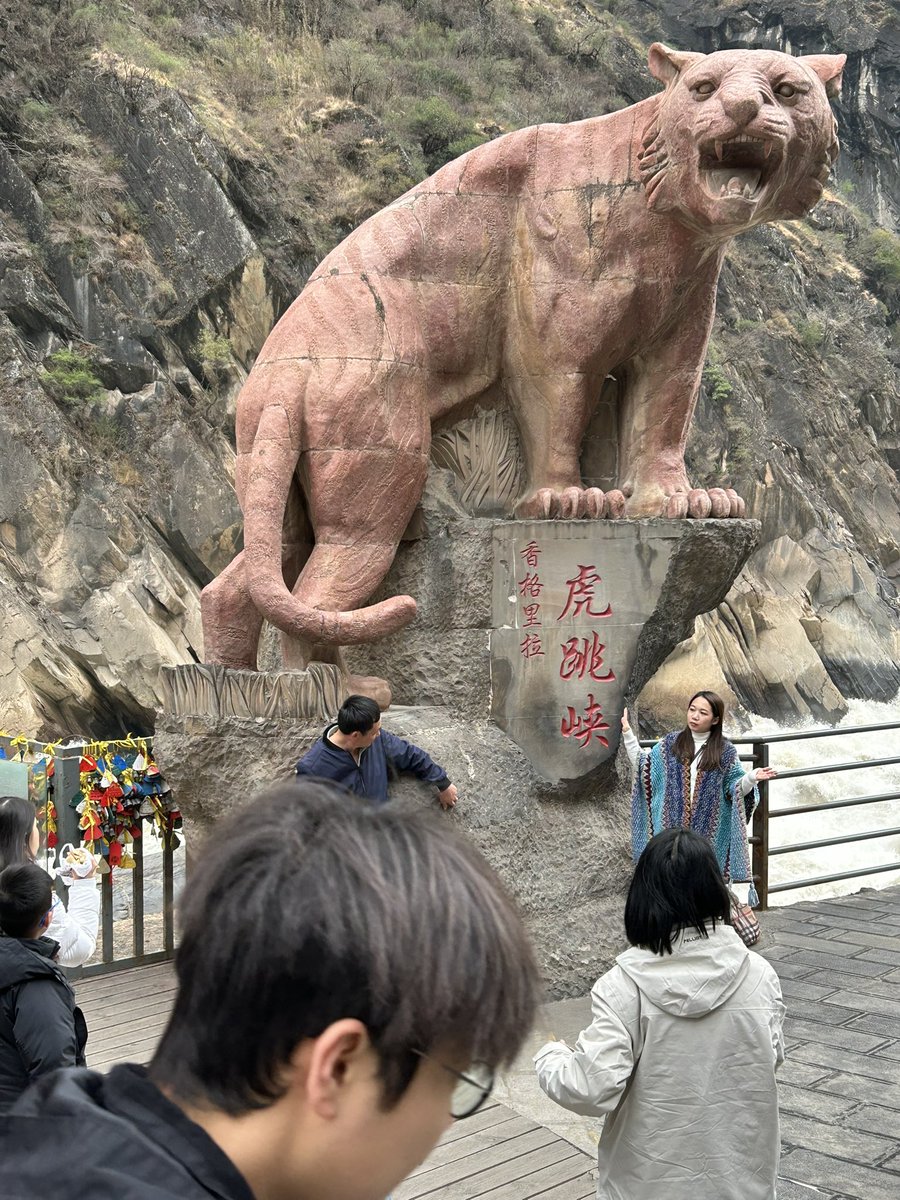 simon_lau99's tweet photo. My trip to China was just the pick-me-up I needed. Here are some of the highlights from my trip.

This year, not only did I go back to my parents’ home town but we also branched out and went to Yunnan, Shanghai, and Macau. https://t.co/0oxKVcBodX