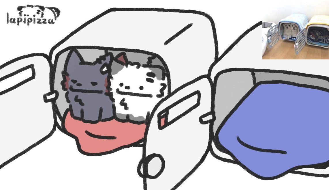 Dr_luyan's tweet image. 🐺🐺