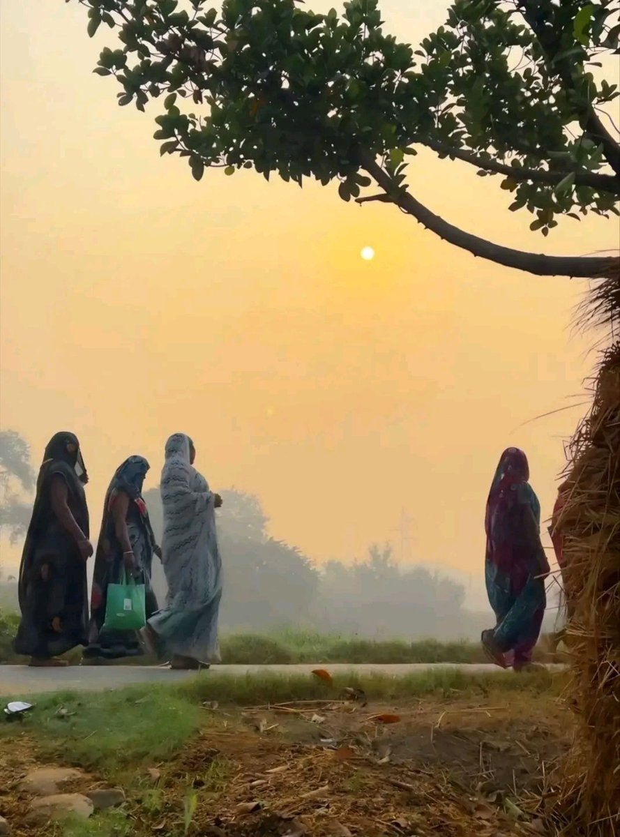 गांव की खूबसूरत सुबह का मनोरम दृश्य 😍
Good morning 🌞