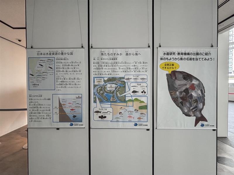 fra_go_jp's tweet image. 7月12日、13日に開催されるうみ博2025に先駆けて、横浜市役所アトリウム2階ではポスター展示を行っています!
ぜひ、見に来てください🌊
#うみ博