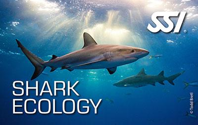 🌊🦈 ¡Especialidad SSI Shark Ecology completada! Ahora puedo integrar ciencia y derecho para asesorar en regulaciones ambientales marinas y evaluar impactos en obras offshore. Tradición jurídica con mirada sostenible. #DerechoMarítimo #SSIEcology