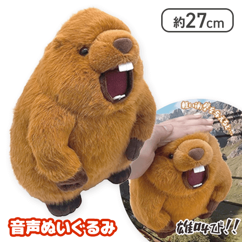 🍀入荷案内🍀 雄たけび！！マーモット音声ぬいぐるみ 音声ギミック入り