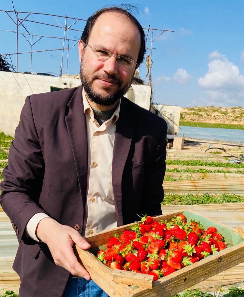 MosabAbuToha's tweet photo. Dear Refaat,

Today, I visited a strawberry farm for the first time in two years. I went for two reasons.

First, my children wanted to pick strawberries—just as they used to on their grandfather’s farm back in Gaza.
Second, I went because strawberry fields bring your memory rushing back to me.

With each berry I picked, I thought of you. I blessed your name, and I cursed those who murdered you—along with so many of my relatives and friends. I cursed all who have called, directly or silently, for the destruction of Gaza and its people.
You were dearly missed, dearest Refaat.
I just wish I could pick every strawberry in that field.
رفعت