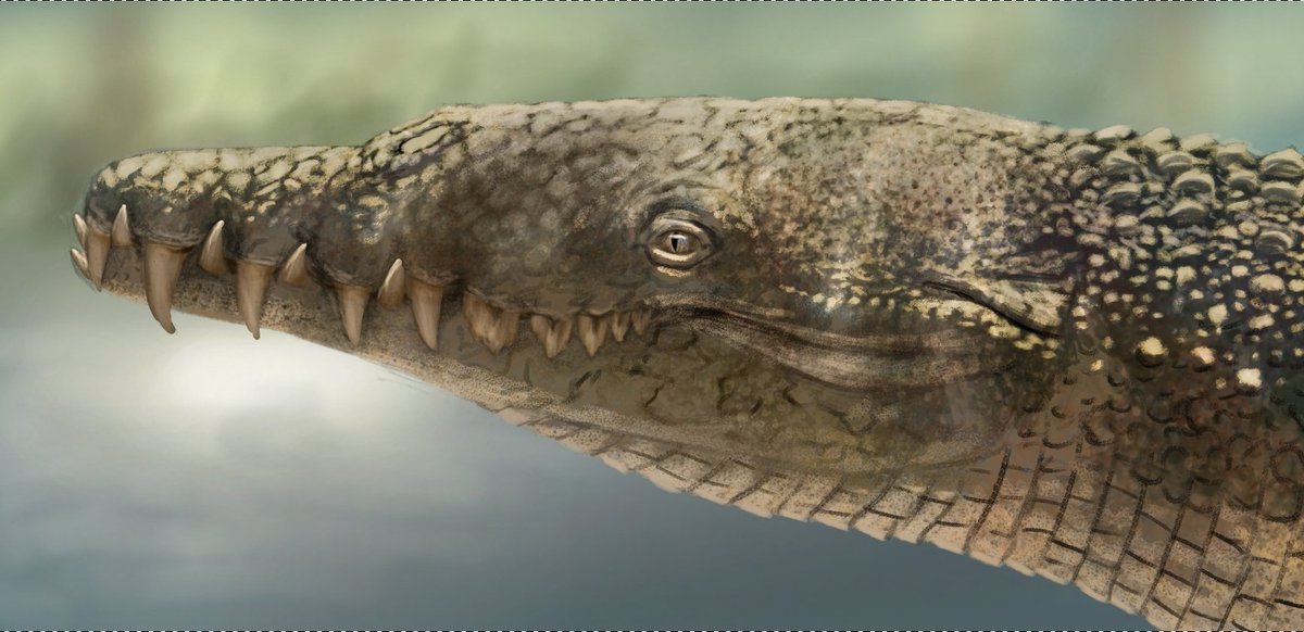 Literally Miguel 🇻🇪💥🔫 tweet media