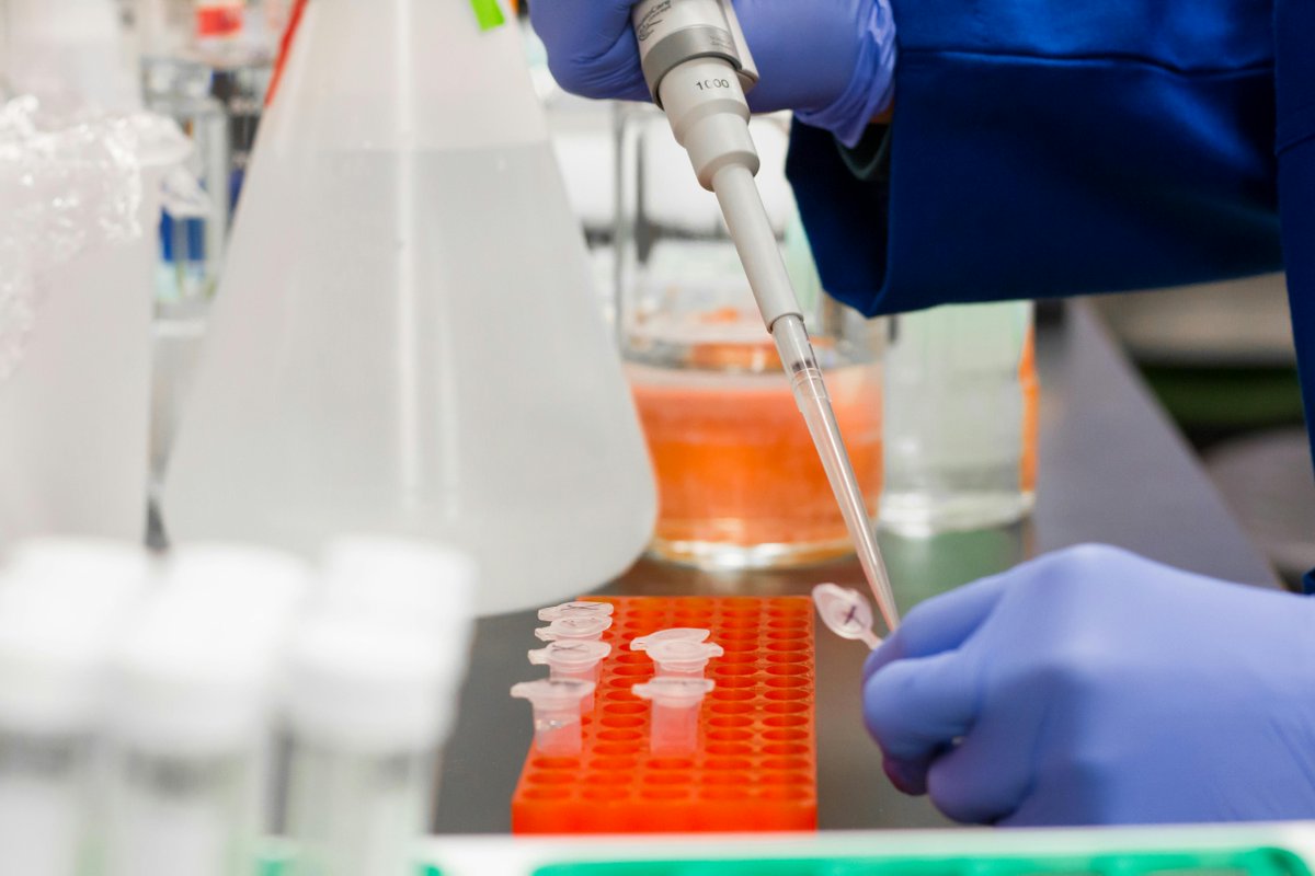💡 Scientists reveal that TET3 promotes tumor growth and progression in bladder cancer partly through modulation of the stemness pathway, highlighting its potential as a therapeutic target and prognostic marker.

👉 bit.ly/3IleoBC