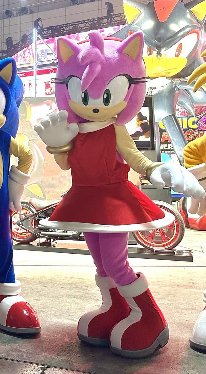 💖 Amy Rose 💖 tweet media