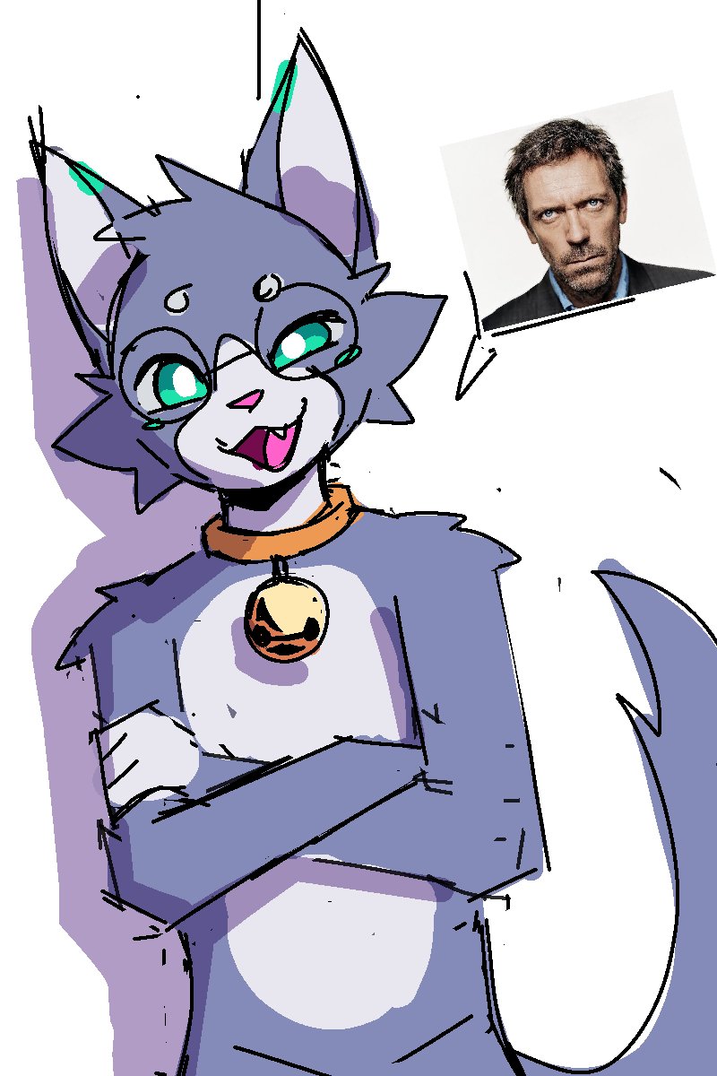 InuuTwo! tweet media