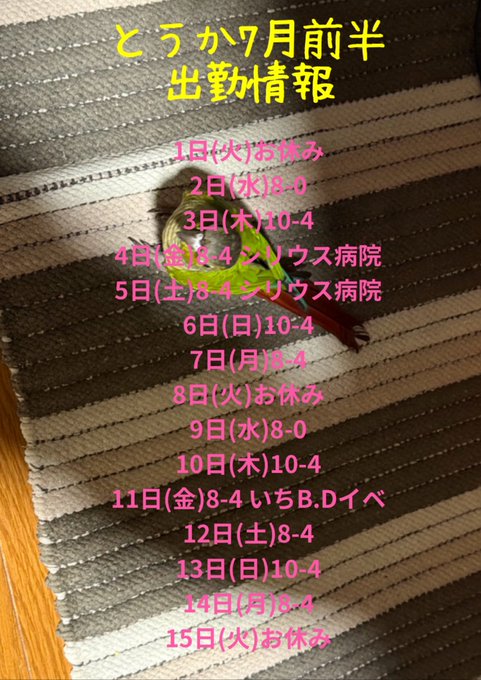 コスプレBAR SIRIUSのツイート