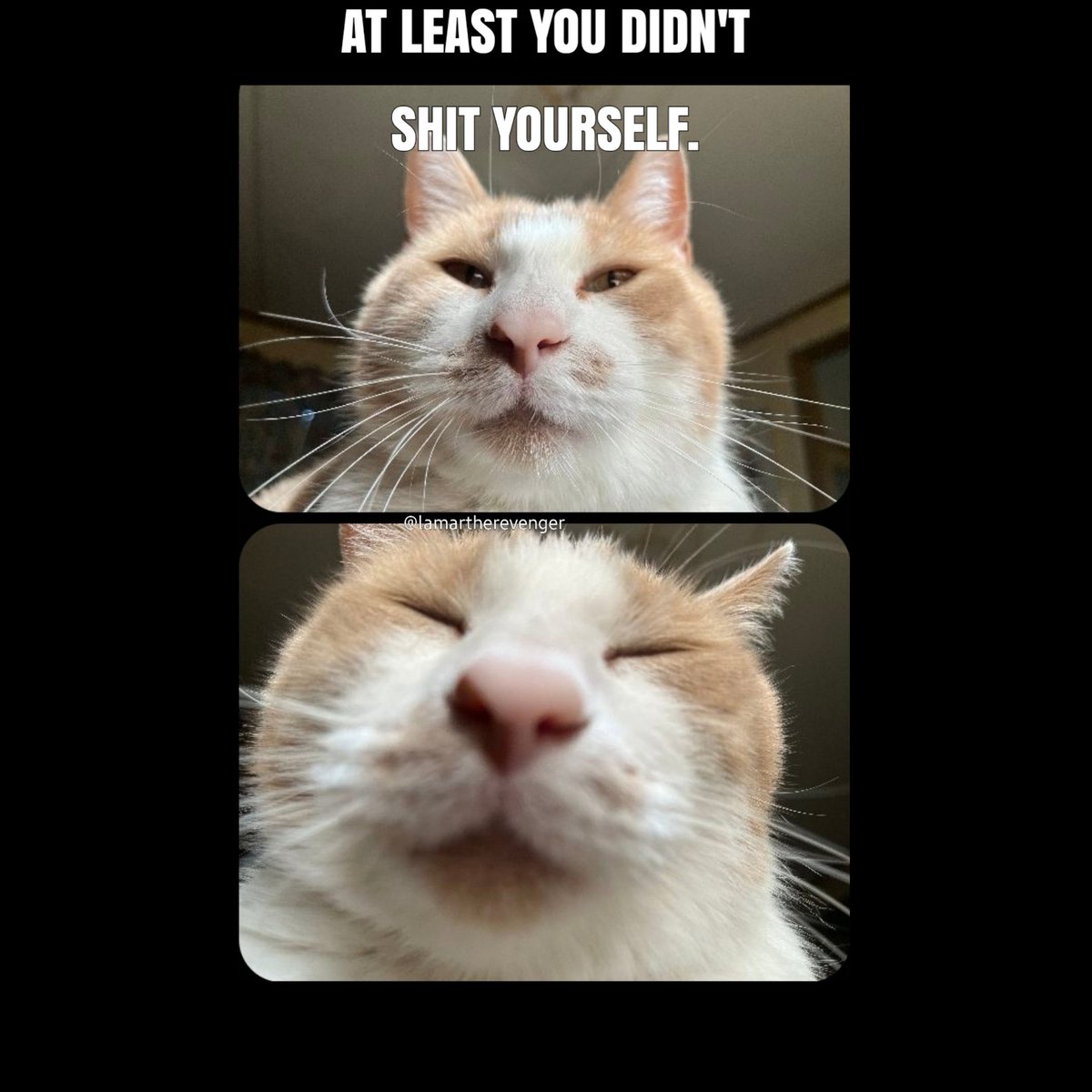 Assignment: 
Make a legit inspirational image/meme/GIF/poster that says "At least you didn't shit yourself"