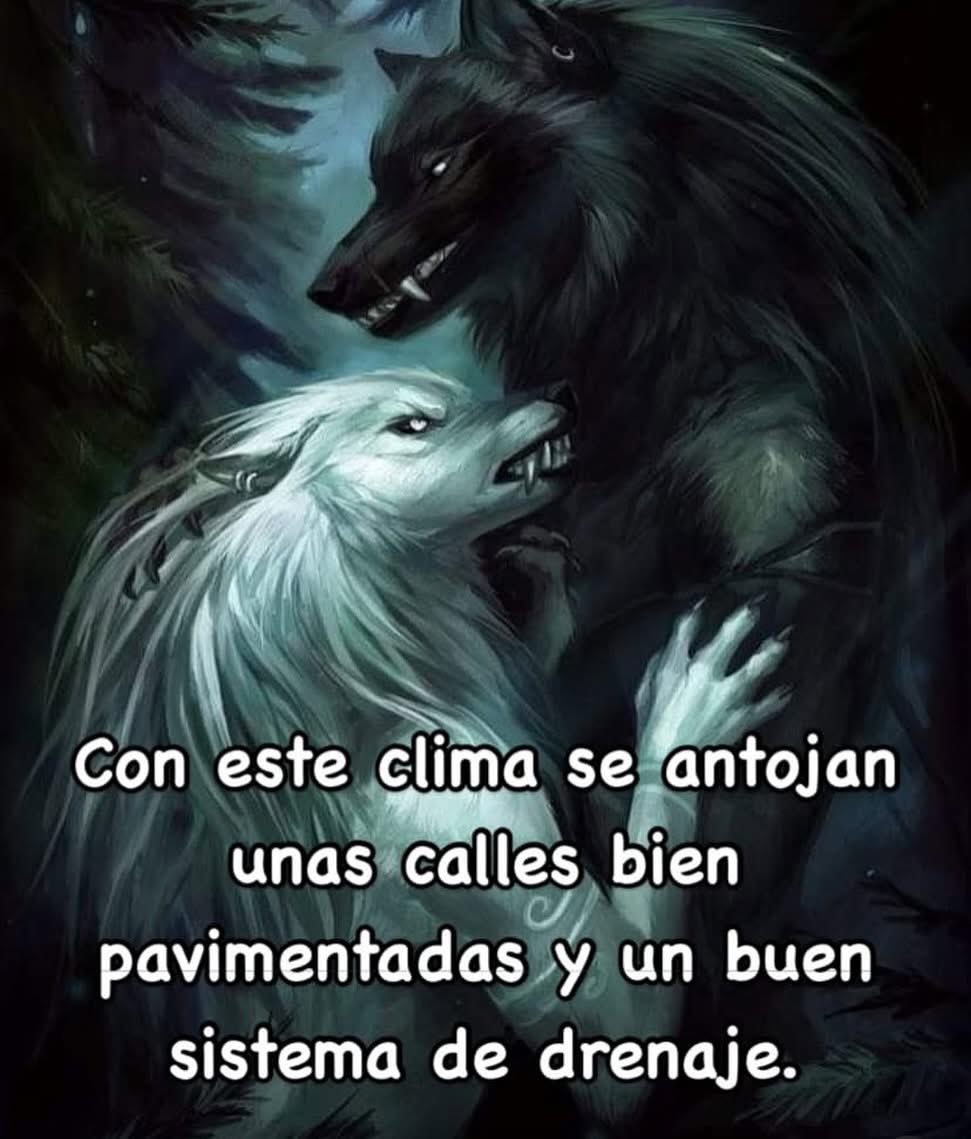 vayavayatacuba's tweet image. 