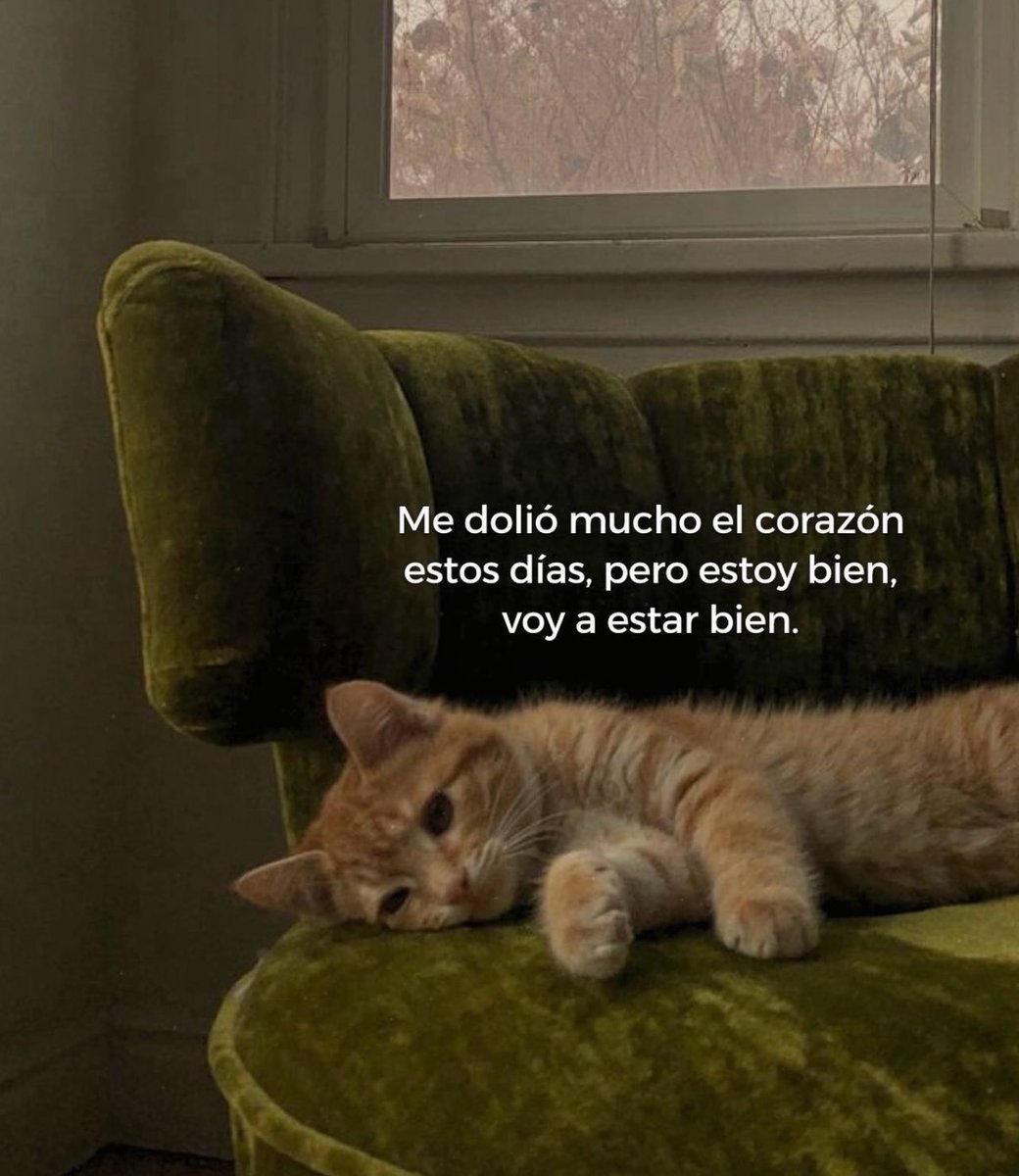 ERICK OLV (@erick_olv) on Twitter photo 