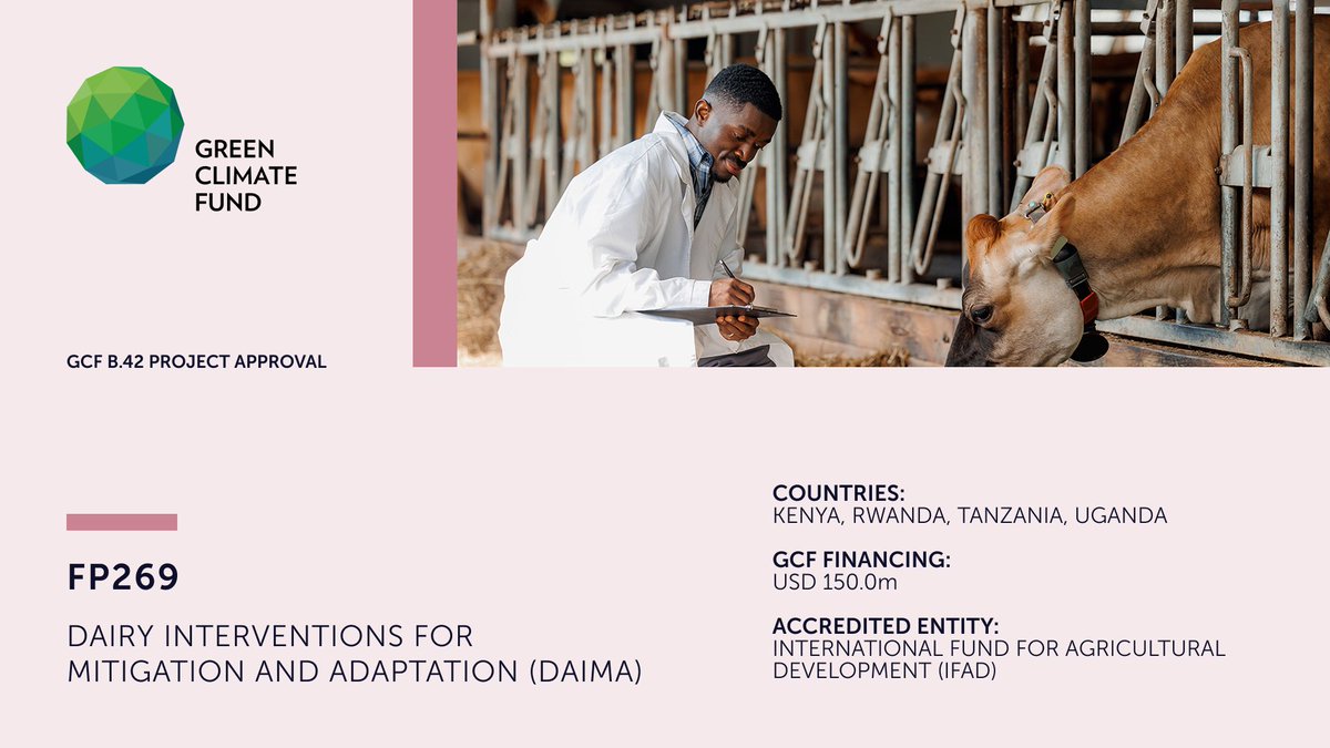 Green Climate Fund (@thegcf) on Twitter photo GCF Board #GCFB42 approved #adaptation #mitigation project FP269 with <a href="/IFAD/">International Fund for Agricultural Development</a> to enable the low emission, climate-resilient transformation of the dairy sector in 4 countries in East Africa. #ClimateAction g.cf/fp269 GCF Board #GCFB42 approved #adaptation #mitigation project FP269 with <a href="/IFAD/">International Fund for Agricultural Development</a> to enable the low emission, climate-resilient transformation of the dairy sector in 4 countries in East Africa. #ClimateAction g.cf/fp269