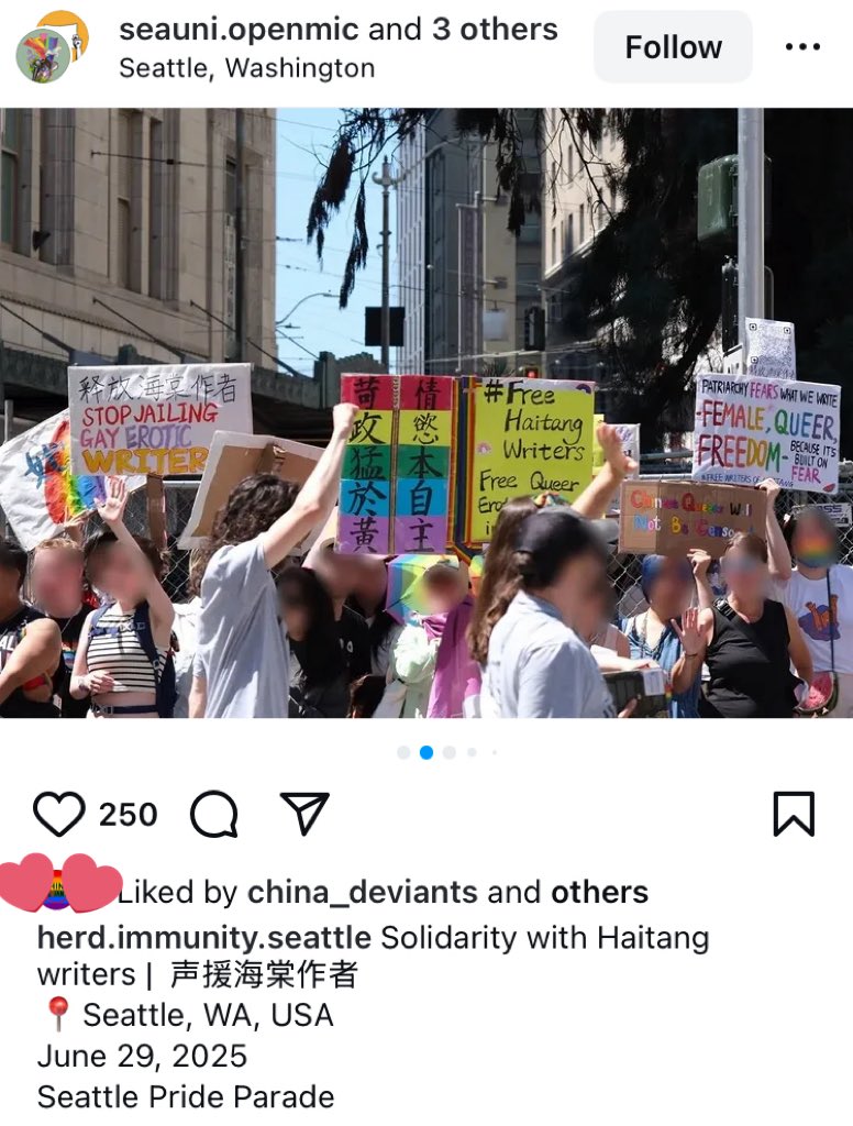 Another kind of #Pride parade: diaspora activists protesting against the crackdown of #haitang/ BL writers in China. Queering authoritarianism transnationally