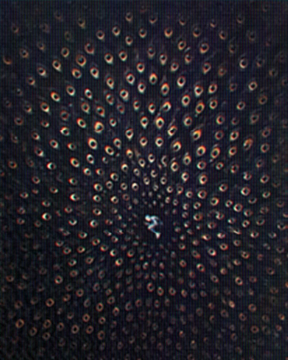 marchauroraa's tweet photo. Threw things everywhere makes me feel like im home so yesh im dropping some moments here https://t.co/gcE5DF1OXa