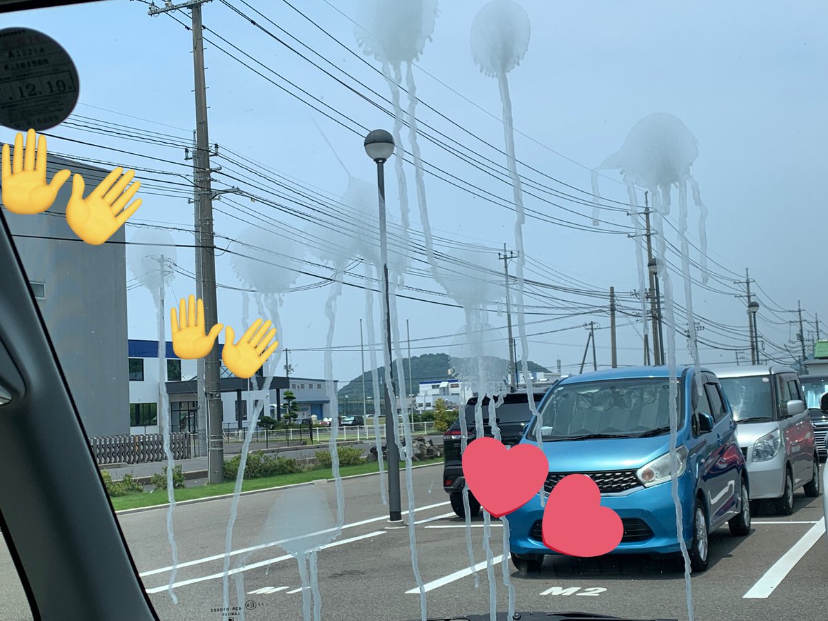 朝出勤してお昼休憩までの
3時間でここまで💩落とされることある！？笑