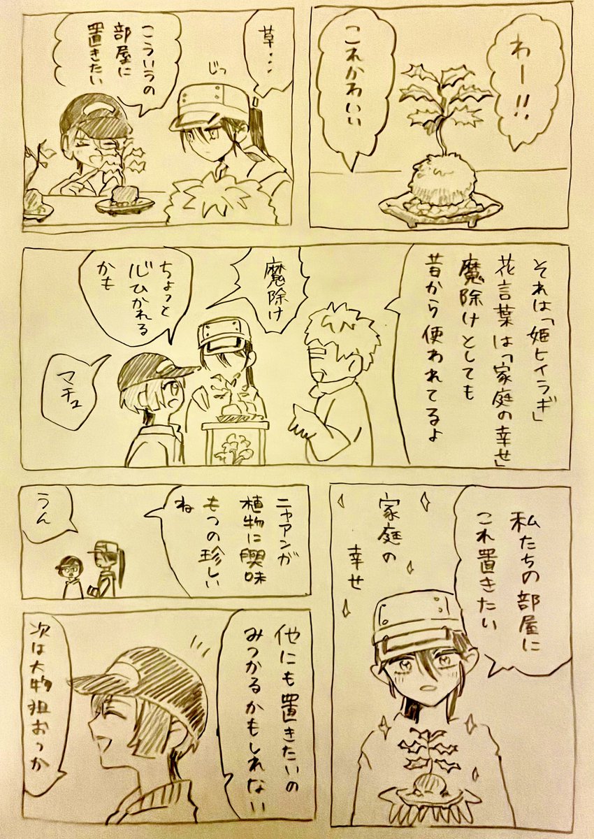 マチュとニャアンの部屋の窓際の苔玉 