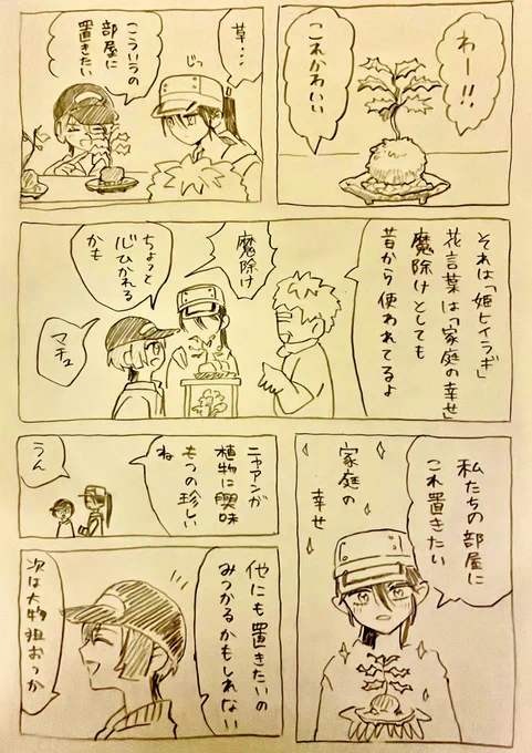 マチュとニャアンの部屋の窓際の苔玉 