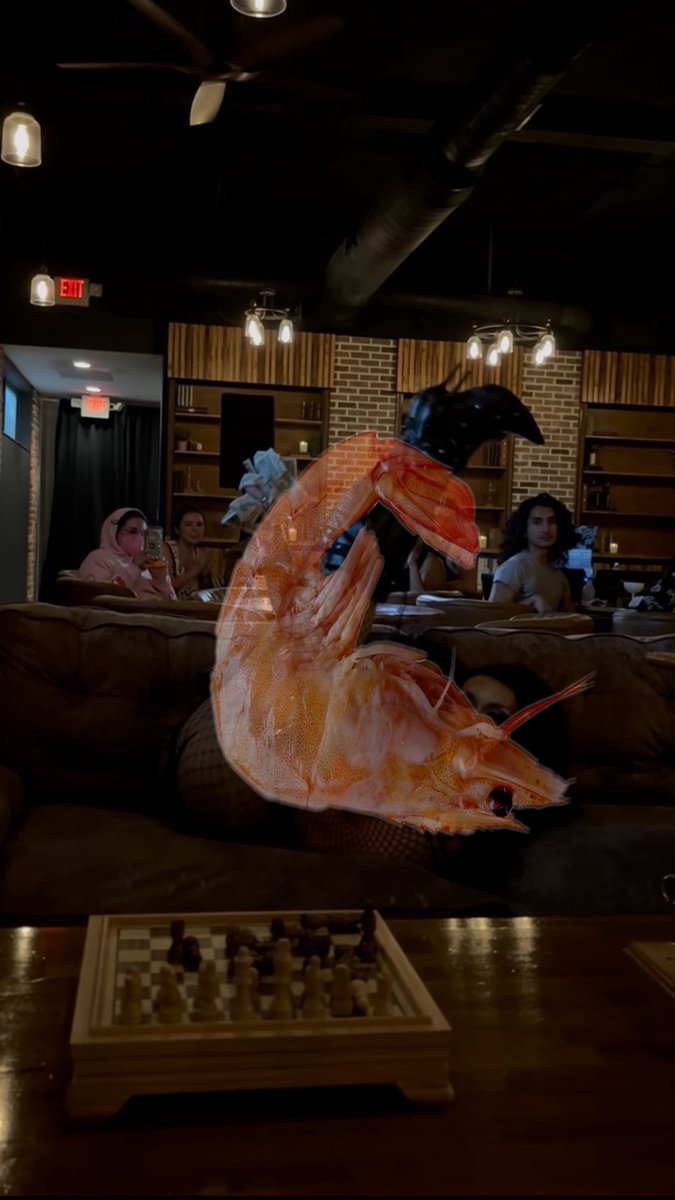 alexandriahell's tweet photo. I’ve been shrimped https://t.co/gye1jmX89A