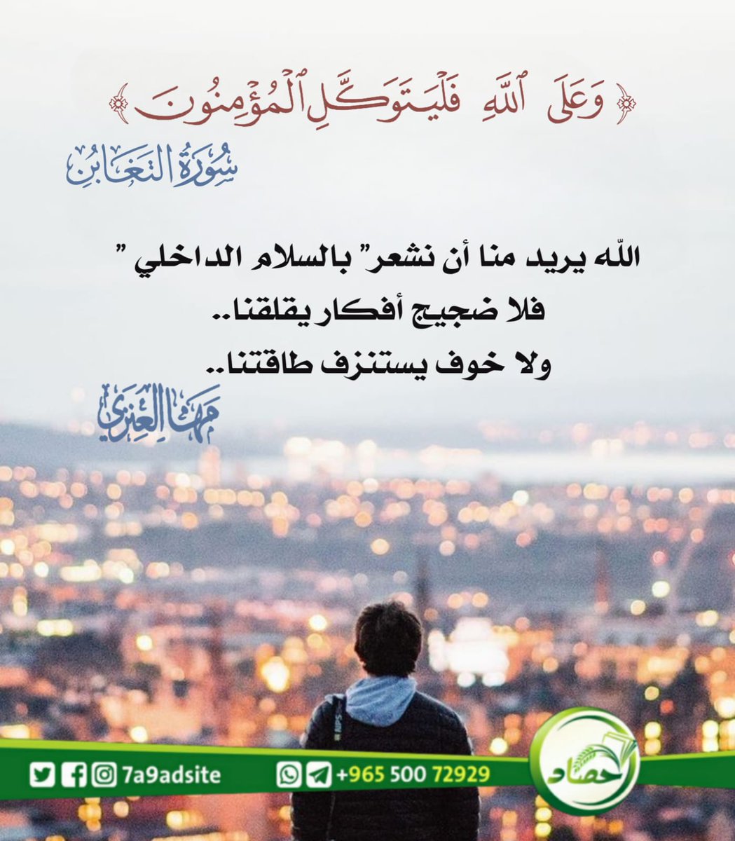 حصاد tweet media