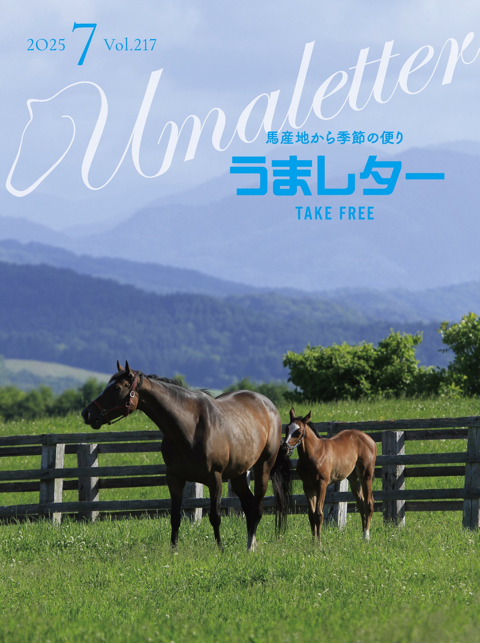 まねき馬倶楽部 海外挑戦の日本馬Best10 ウシュバテソーロ 未開封 まねき馬倶楽部 海外挑戦の日本馬Best10 ウシュバテソーロ 未