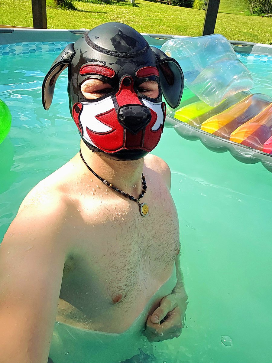 Alphas_and_Nova's tweet photo. Such a nice day for a puppy dip https://t.co/Z4rMrLpC6U