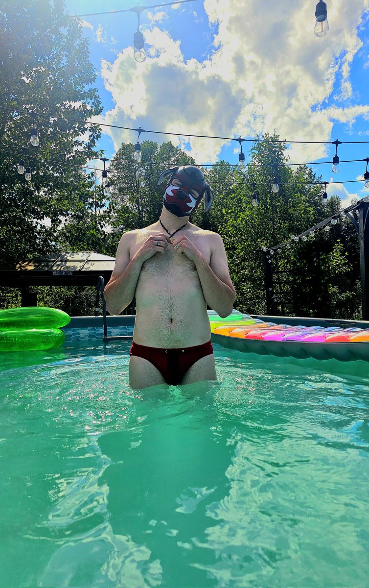 Alphas_and_Nova's tweet photo. Such a nice day for a puppy dip https://t.co/Z4rMrLpC6U