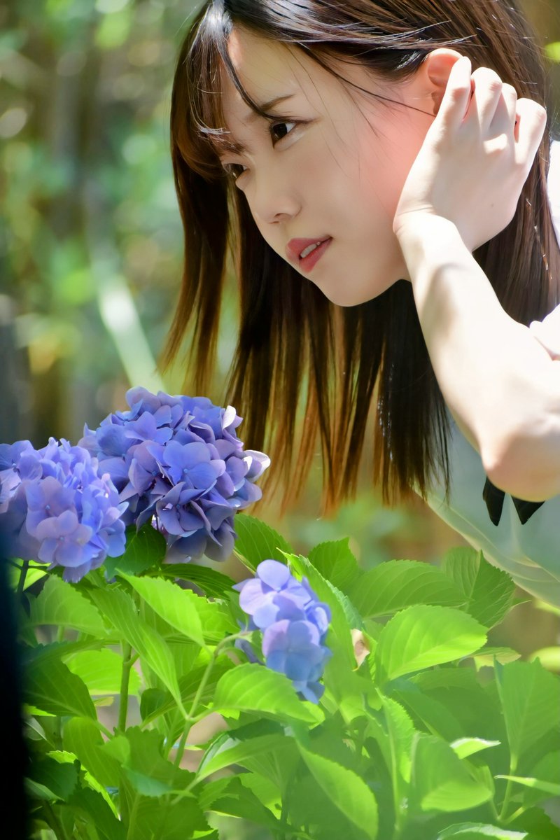 榛名ういさん(<a href="/uiui15ch/">榛名うい</a>)

『Hydrangea and beautiful girl』

#榛名うい #美少女 #ダイサツ #D3400