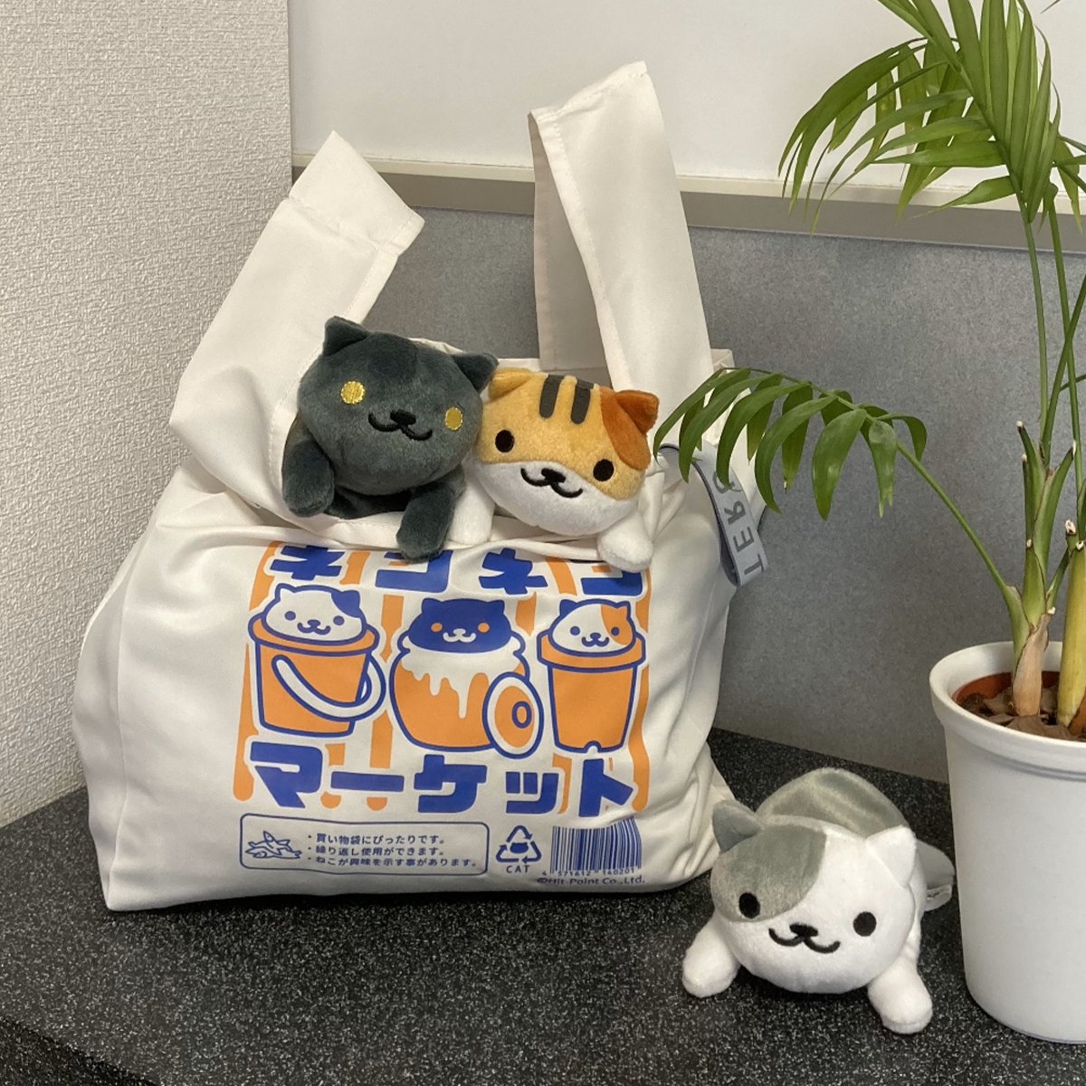 YouTube公式チャンネルにて 
【新作動画公開！】  

✨今日もちょっといい日になりそう。✨
 ねこさんがくれた、エコバッグと笑顔のショートストーリー。 
 たった19秒、心がふわっと軽くなる動画です！  

▼YouTube動画はこちら youtube.com/shorts/rV4EoVO…