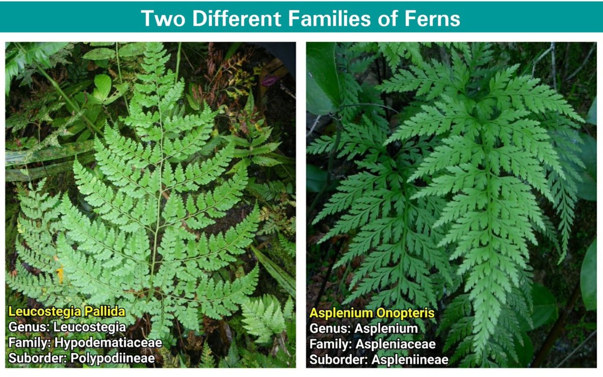 Call Me Emo tweet media