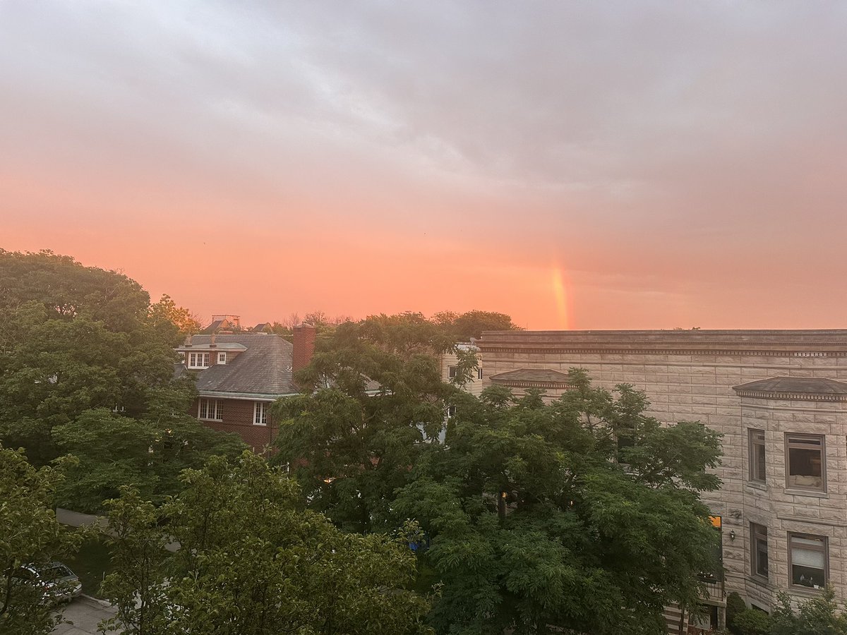 clareifying's tweet image. 🌈 in 🐦‍⬛🪵