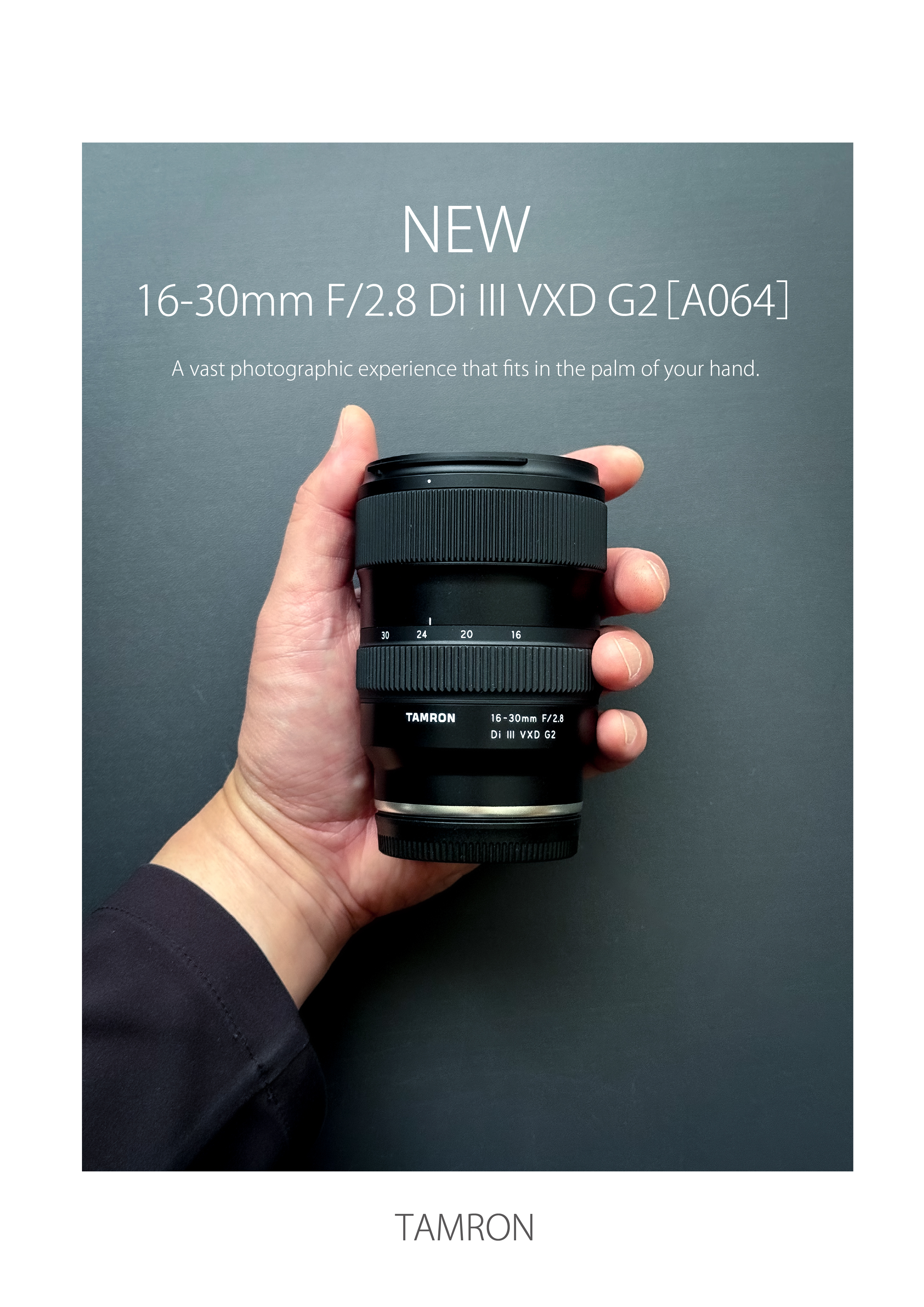 Holo🐸📷 (@Holo721_) / X