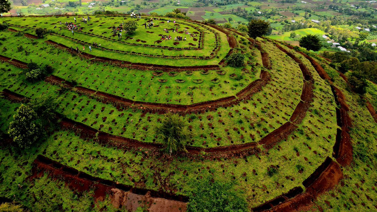 dessalegnmanaye's tweet photo. 🇪🇹 A dual effort to achieve a national goal! While some plant trees to combat climate change and deforestation, others work to complete a hydroelectric dam, harnessing clean energy. #Ethiopia: #UnitedforProgress! #NationalInterest 
@AbiyAhmedAli  @BerhanuTsegaye  @olani_daniel https://t.co/unqJ1BjsuQ