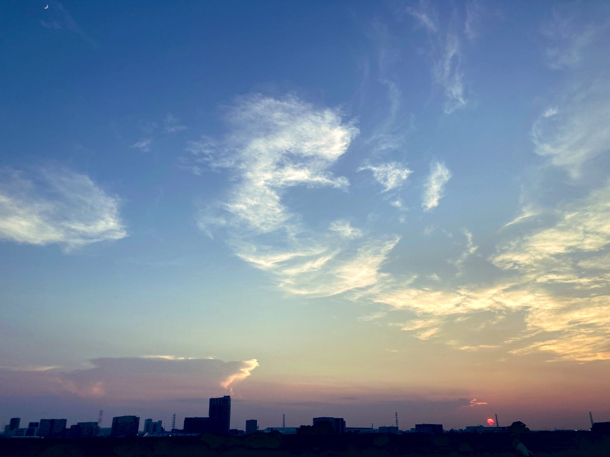 2025年後半戦はじまりました。
先ずは7月！

●7/5@渋谷ROOTS
●7/26 松山 凸凹舎
●7/27 新居浜 うるう

nakamurasho.com/schedule

何処かでお会いできたら✨