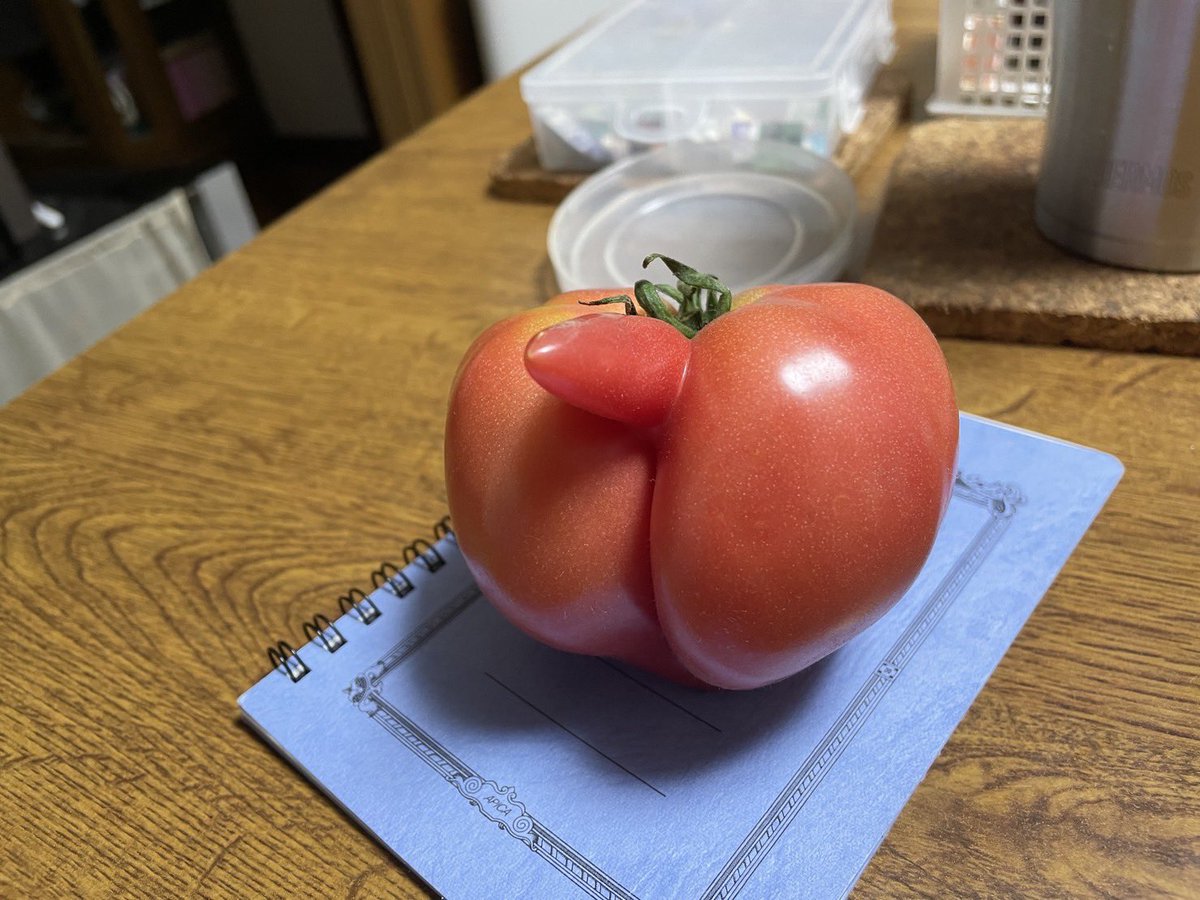 チンポトマト！？！？！？