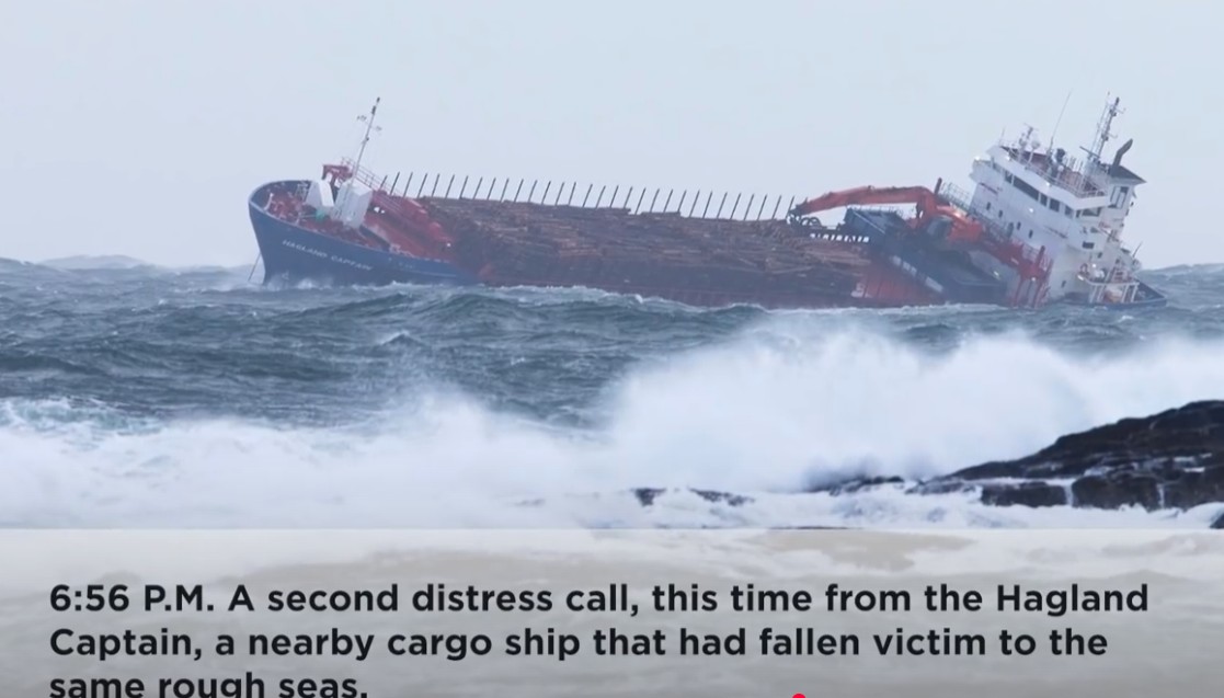 Sea & son tweet media