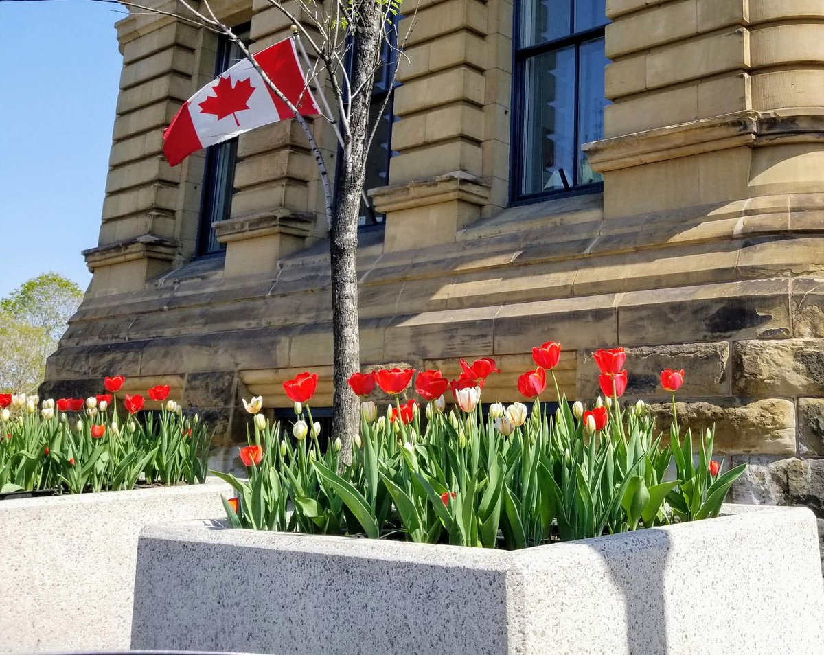 Bob Azzi (@robazzi) on Twitter photo 