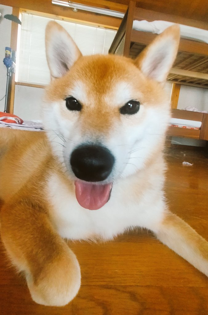 こんちわー☀️