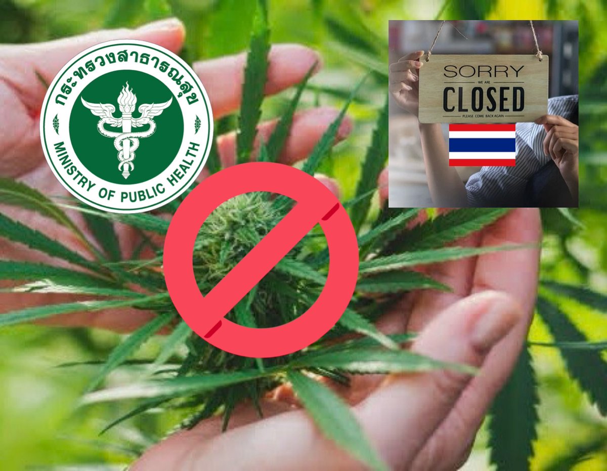 ChannelWeedTH's tweet image. Thailand Fully Medical Cannabis is Beginning!

All #cannabis purchases will require a medical prescription under the new regulation as cannabis shops cannot sell products to customers who do not have a prescription #กัญชา 

channelweedthailand.com/2025/07/01/tha…