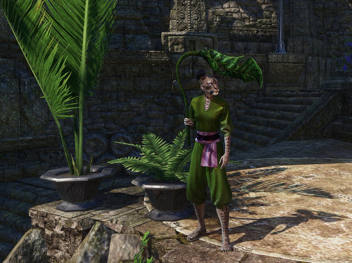 JHartEllis's tweet photo. Celebrating summer and the new Solstice zone, big congrats to komimi87, MoonPile, and Lilarna for their TROPICAL ISLAND FASHION screenshot wins! #ESOFam https://t.co/PoMoreENfO