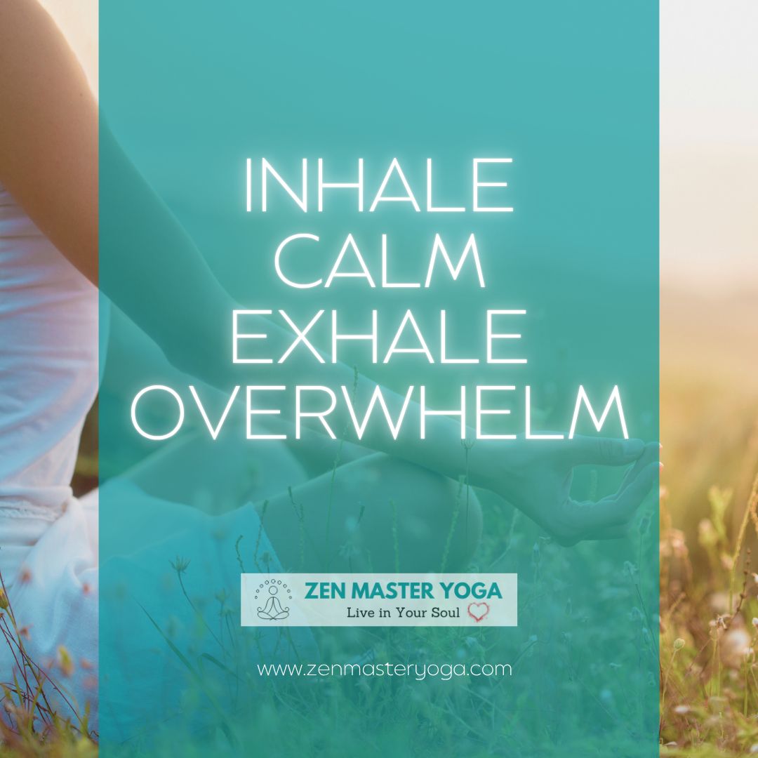 ZenMasterYoga's tweet photo. Start July with a grounding breath.

Each inhale is a fresh start. Each exhale, a release. 

Let your breath guide you back to peace today. 🌿

#GroundingQuote #MindfulMonday #ZenMasterYoga #InhaleExhale #StartFresh #BreathAwareness #JulyReset #YogaWisdom https://t.co/nR0UXBvQ8u