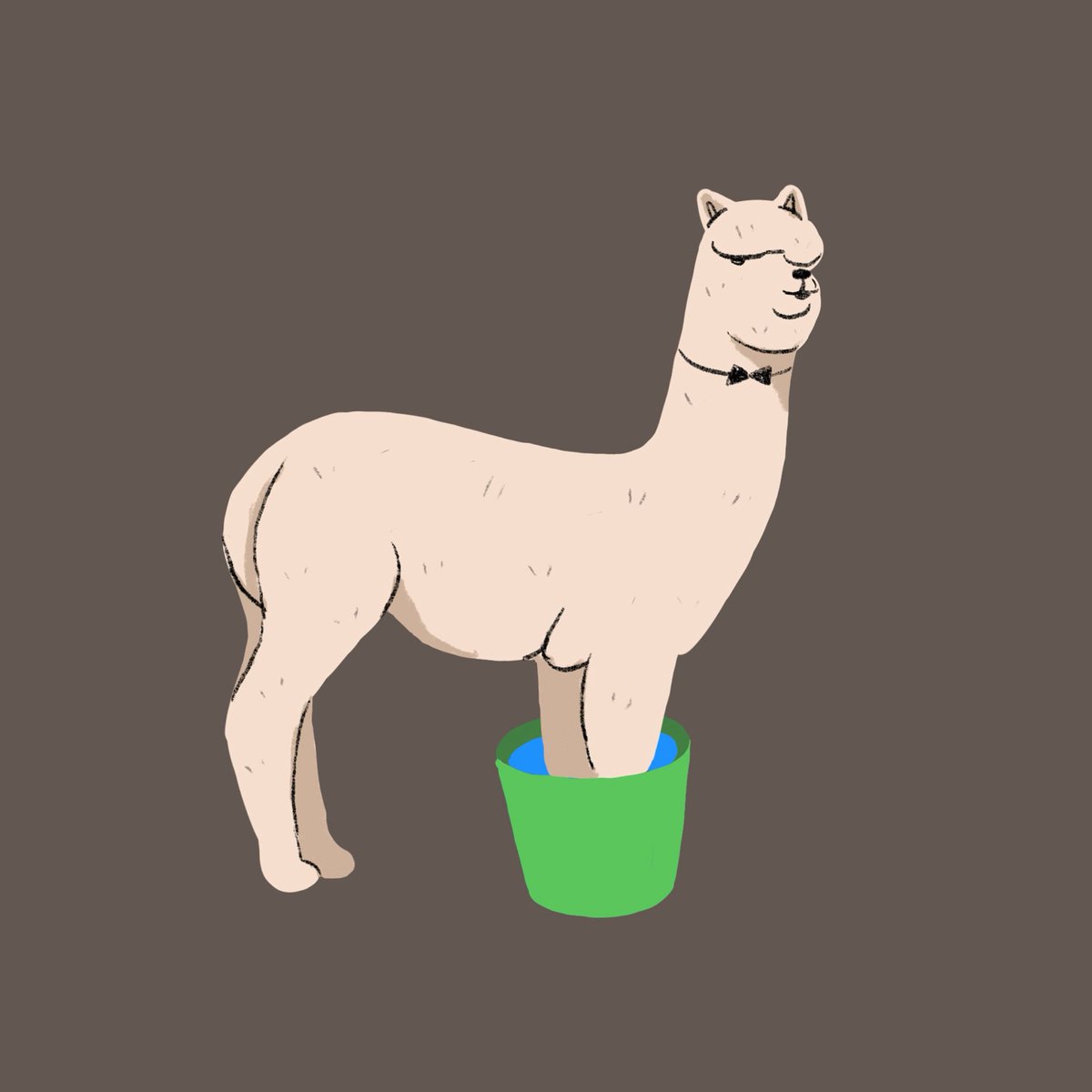 シャル tweet media