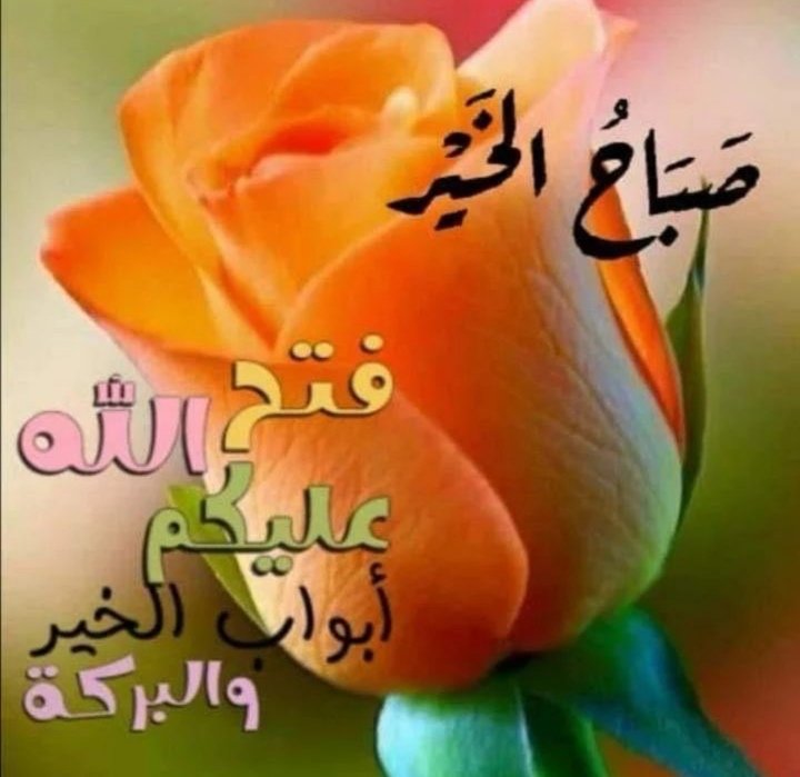 💐
صـبــــاآٍْآٍٍْْآٍٍٍْآٍٍْْآٍْح اآٍْآٍآٍٍٍْْْآٍٍْْآٍْلورد
صـباآٍْآٍٍْْآٍْح آٍٍْْآٍْلَـٍّخـٍّير
صـبـــاآٍٍٍٍْْْآٍٍْْآٍْح آٍٍْْآٍْلأمل