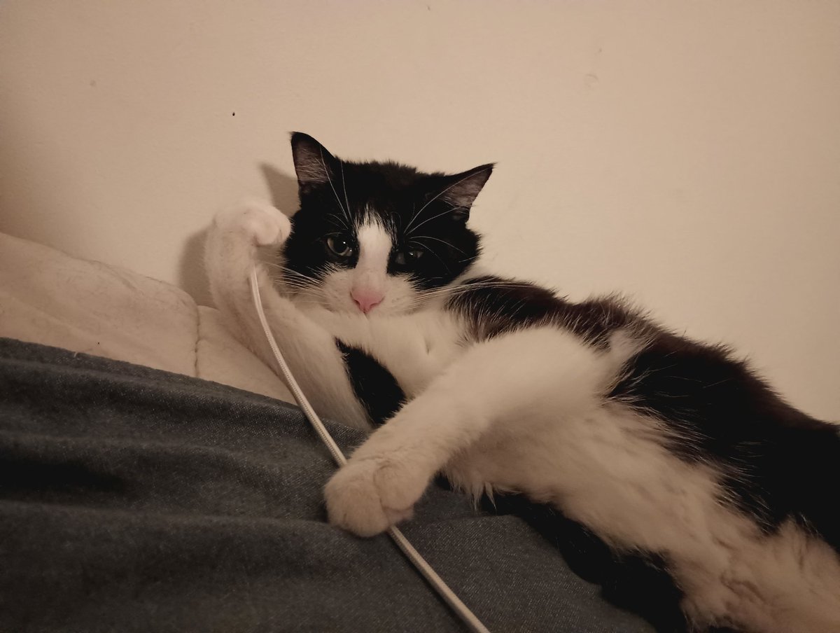 Irl screentime limiter