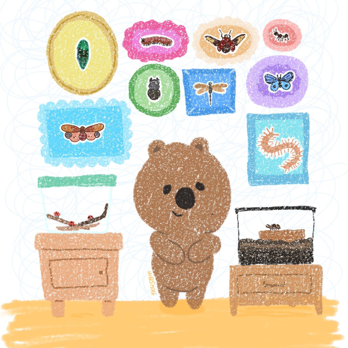 1k4s8m's tweet photo. hanquokka wants to show u their bug collection n yall better hype them up ! 😤 https://t.co/FT2gydaSme