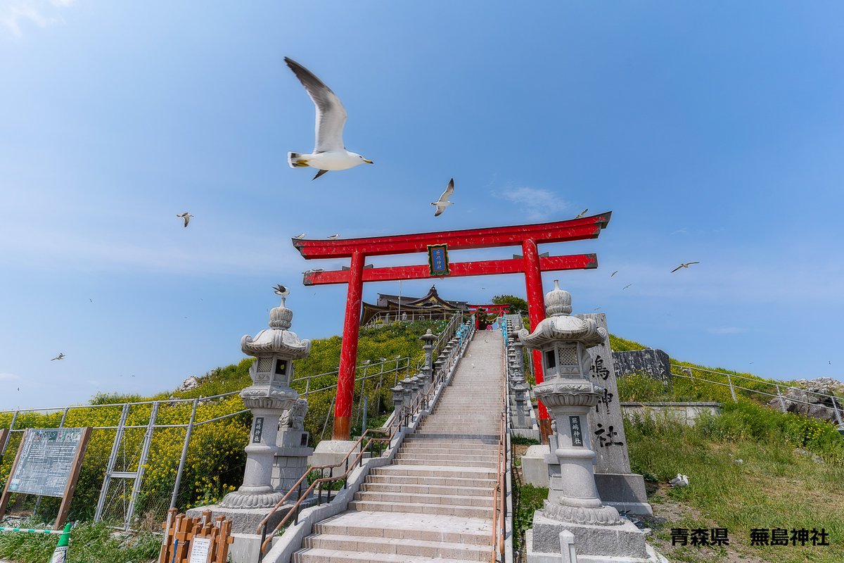 jalpakcojp's tweet image. /
Base!TOHOKU
~さぁ、豊かさの最前線へ~
\
東北の自然・グルメ・温泉を
体感しよう‼️
宿泊施設を「拠点(BASE)」とした豊かな旅で、東北の魅力をたっぷり満喫できる
チャンス💫
ご利用条件クリアで、1グループにつき3,000円割引✨
▼詳細・ご予約はこちら
jal.co.jp/jp/ja/domtour/…